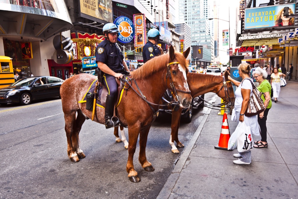 police officers cops on horses in new york