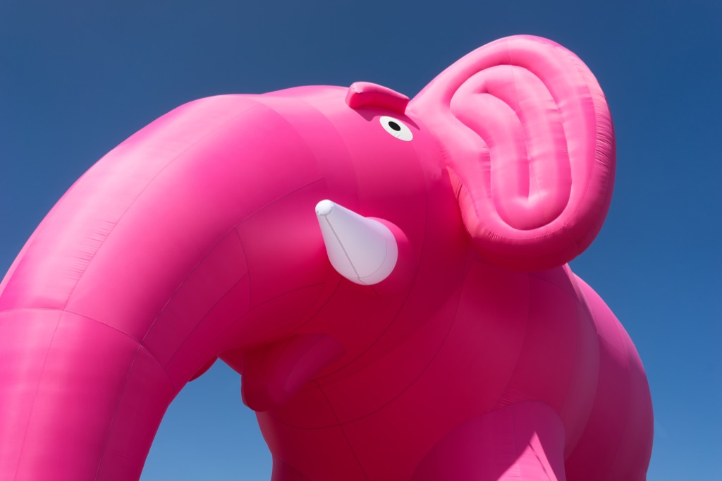 pink elephant