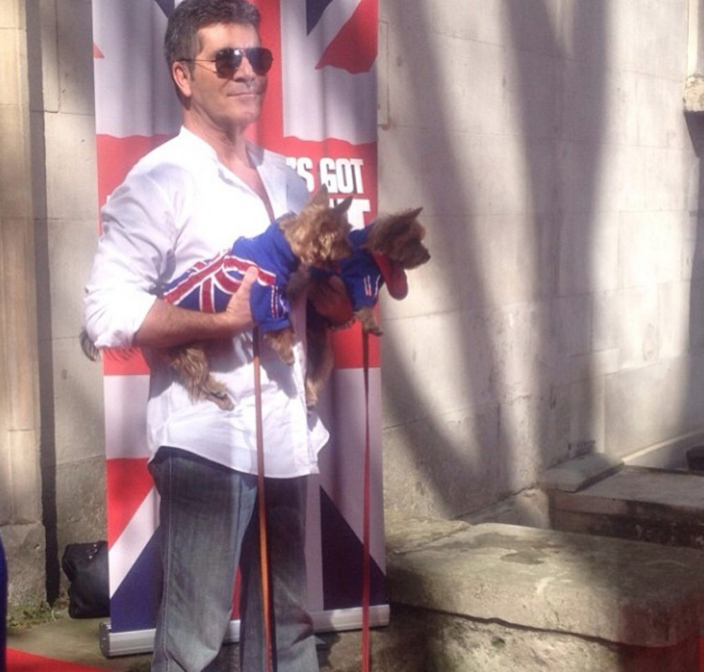 Squidly and Diddly Simon Cowell Pets Living the Good Life