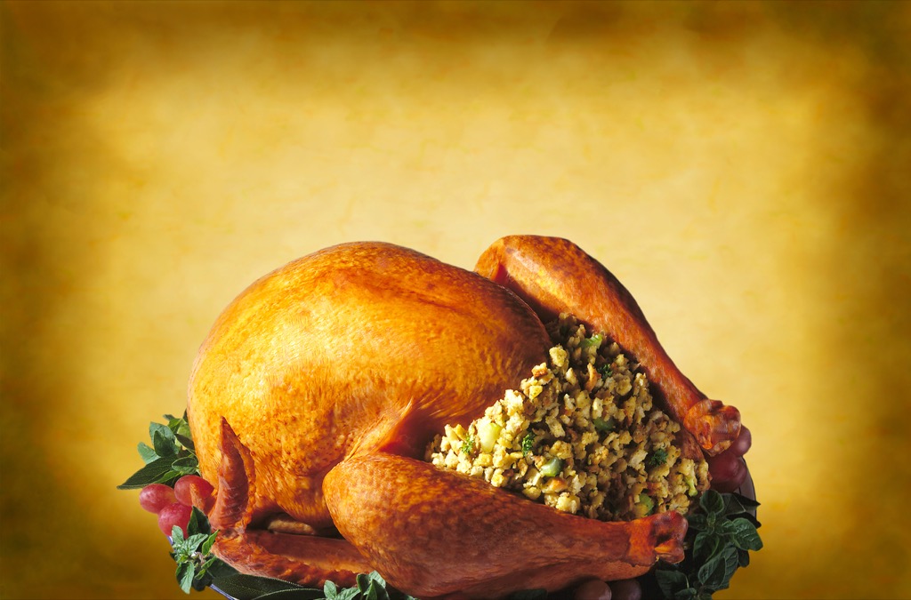 Stuffed turkey with stuffing/dressing for thanksgiving or christmas