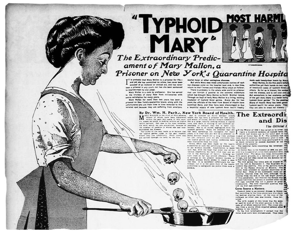 typhoid mary