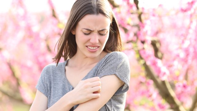 Stressed woman scratching itchy arm after insect bite in a field of peach trees in spring time