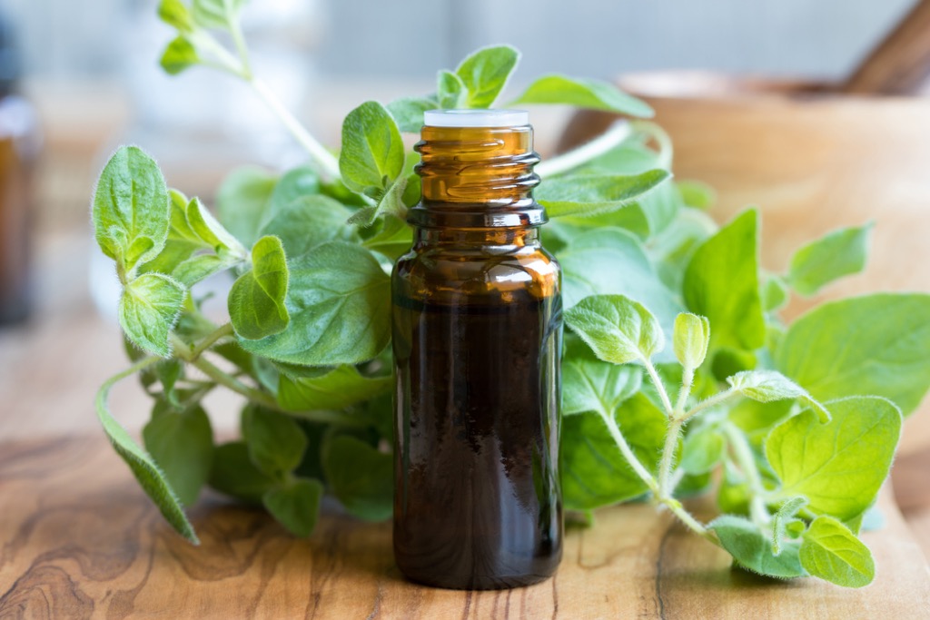 oregano oil sore throat remedies