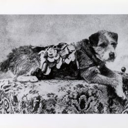 Owney