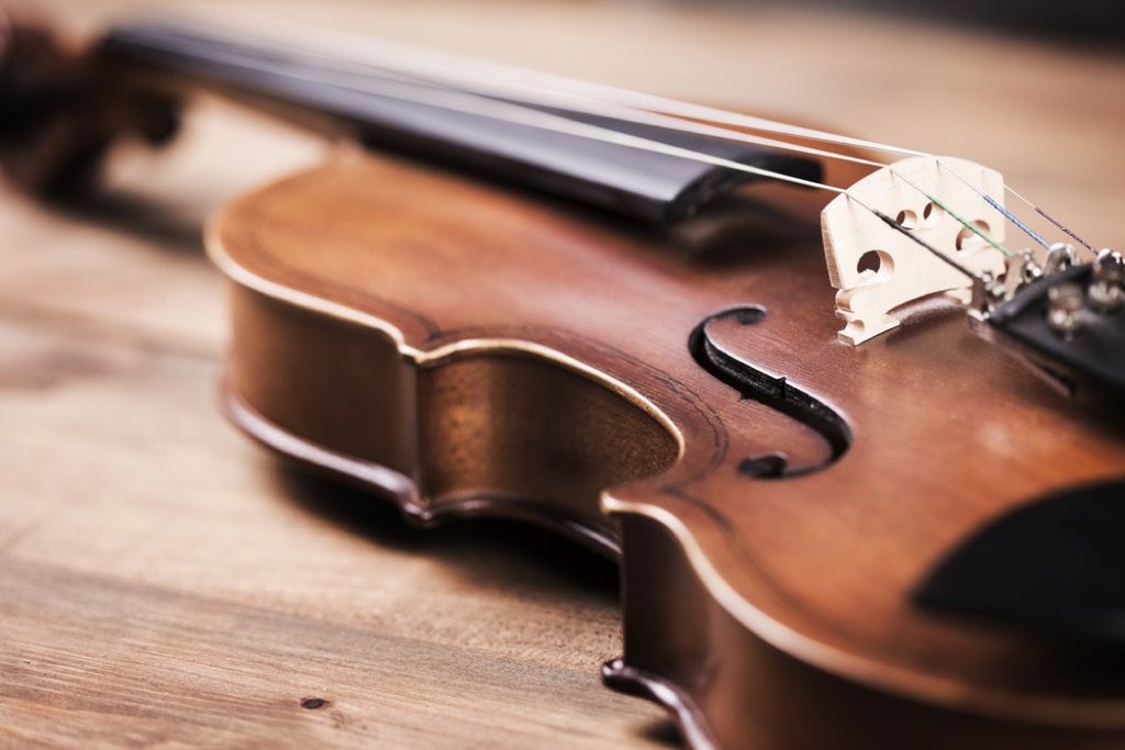 musical instrument, things you shouldn't store in your basement