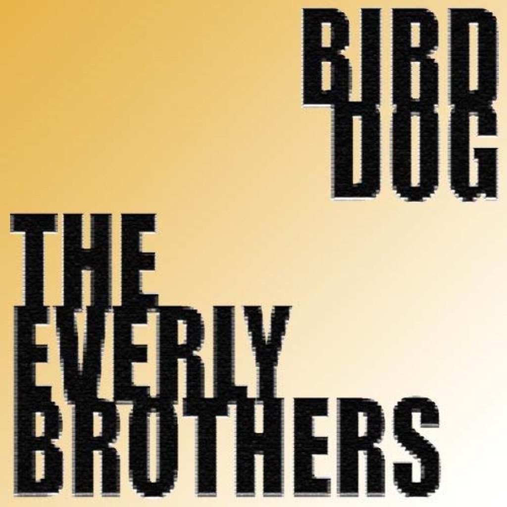 bird dog album cover
