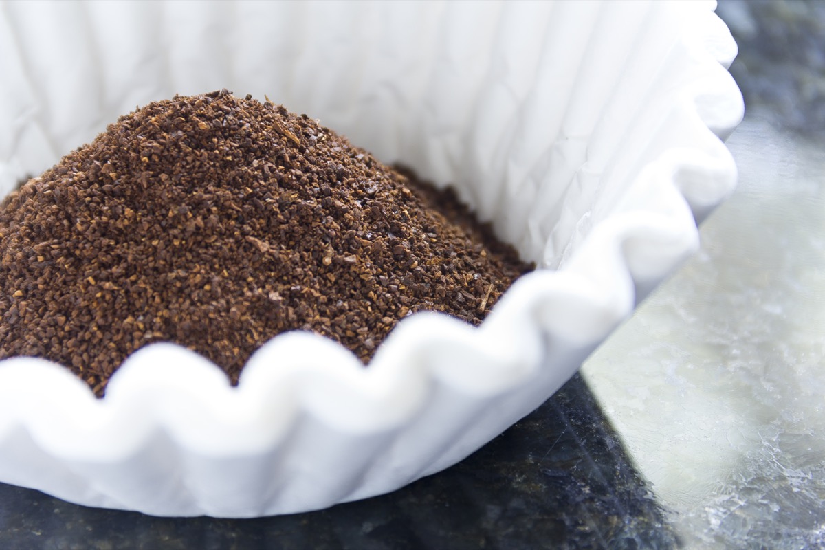 Fresh coffee grounds ready to be brewed for morning jolt of caffeine