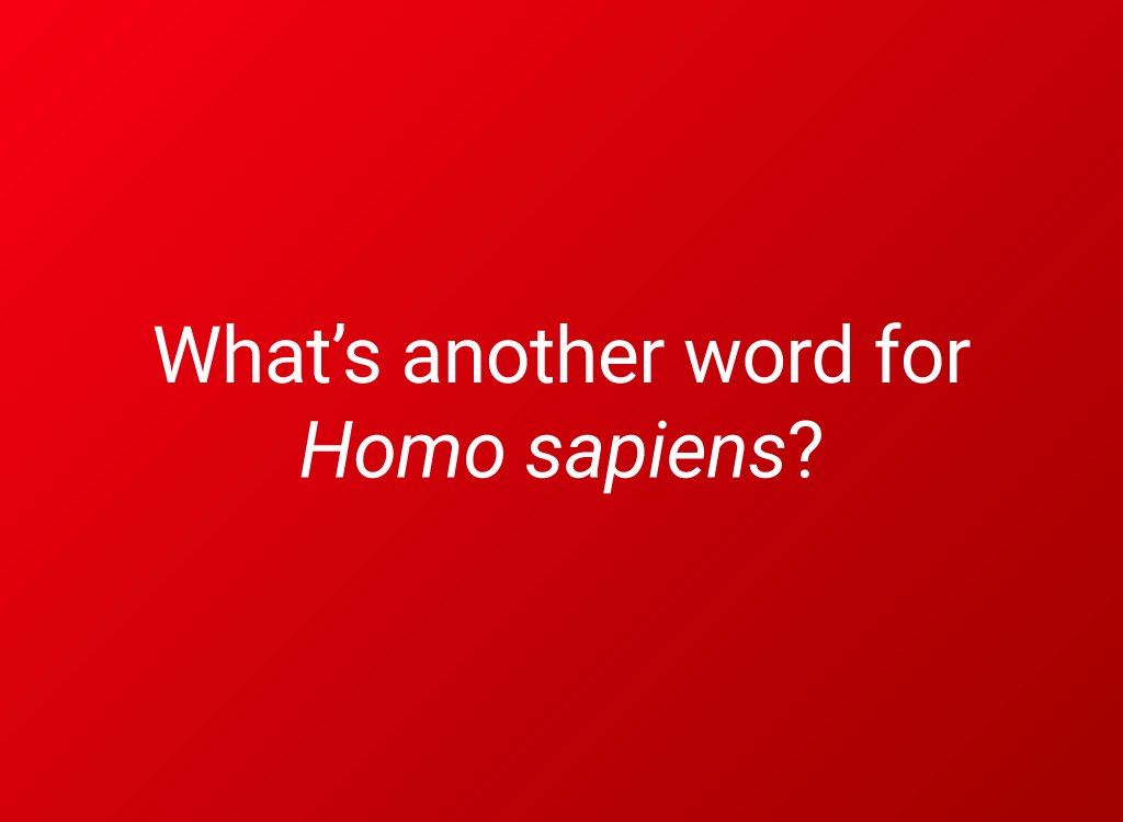 home sapiens 6th grade science question