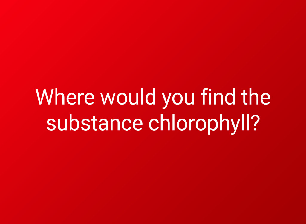 30 Questions You'd Need to Ace to Pass 6th Grade Science — Best Life