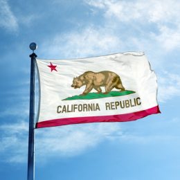 calfornia flag crazy facts
