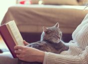 a woman wearing a sweater reading a book with a cat on her lap - why do cats purr