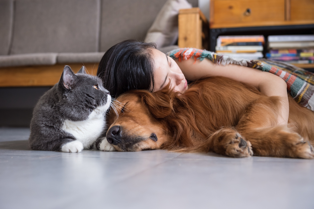 Woman laying with cat and dog