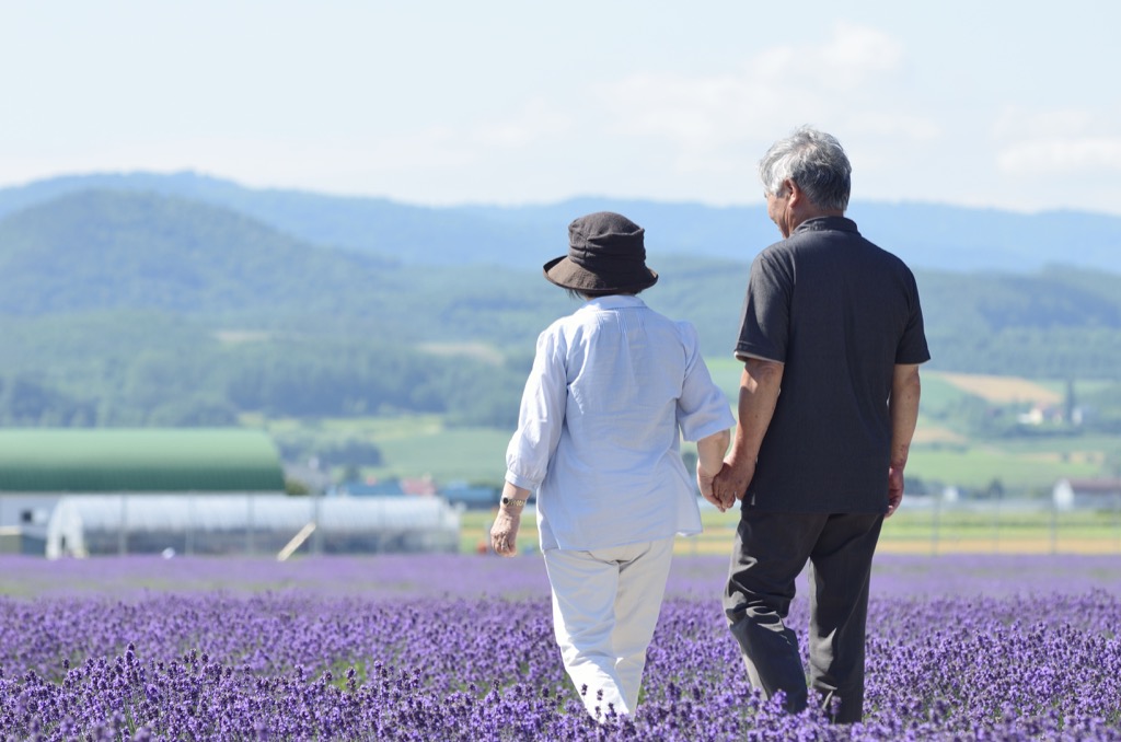 elderly couple walking through lavender field