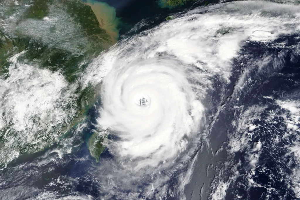 typhoon crazy facts
