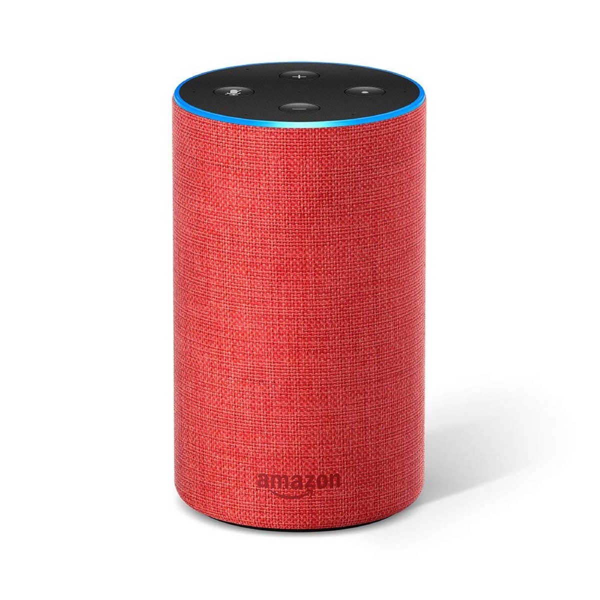 Amazon Echo popular holiday gifts