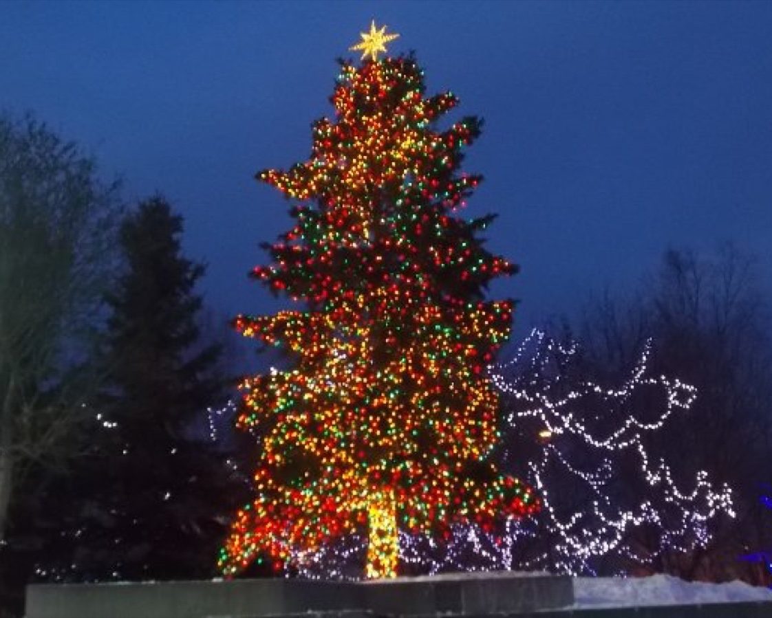 The Best Christmas Tree in Every State — Best Life