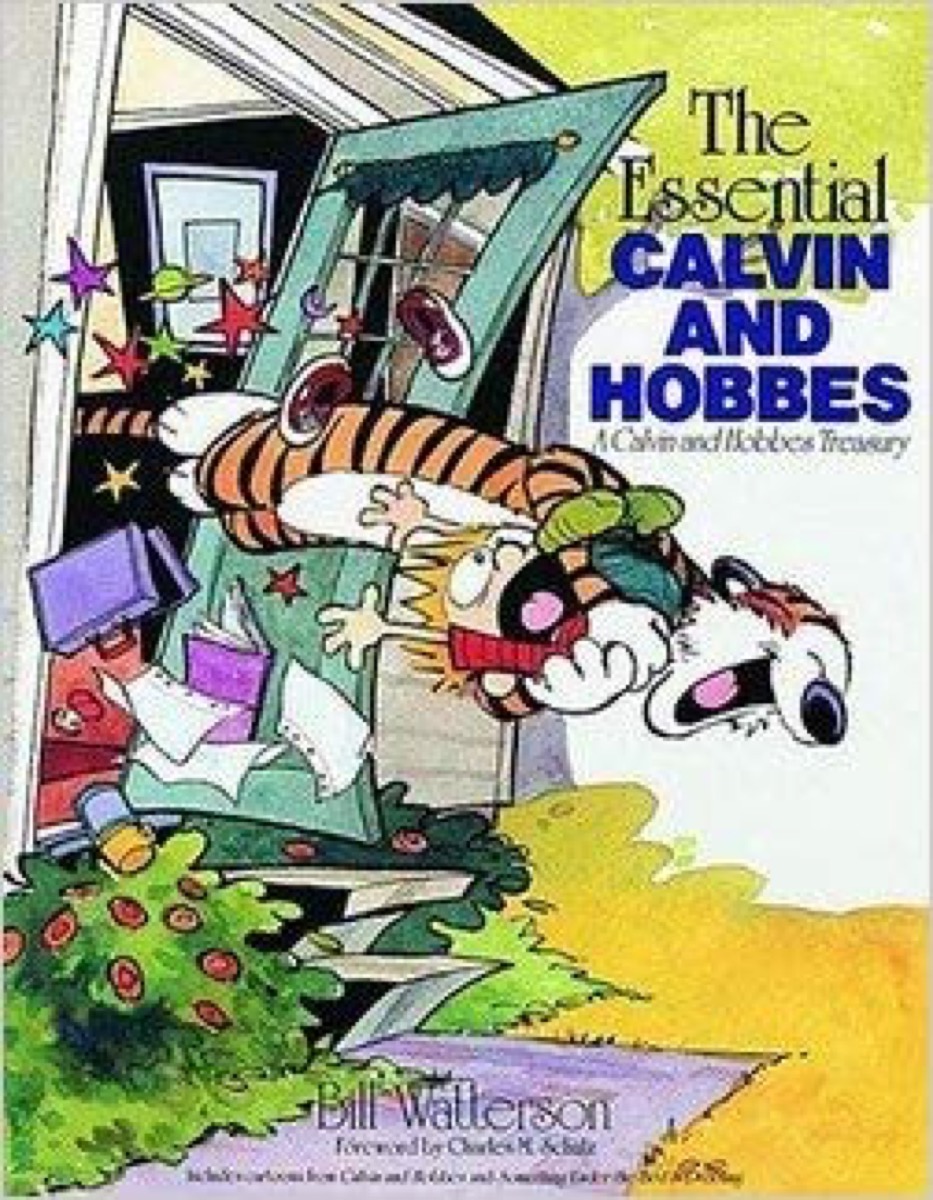 the essential kalvin and hobbes 40 funny books