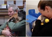 social media reunites pets lost in camp fire with owners.