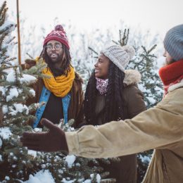 couple choosing a tree is a christmas tree farm