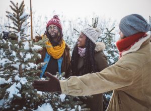 couple choosing a tree is a christmas tree farm