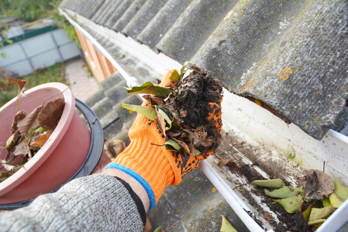closeup of hand in orange glove removing leaves and debris from gutter