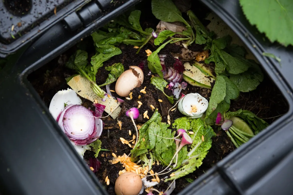 composting eco-friendly tips