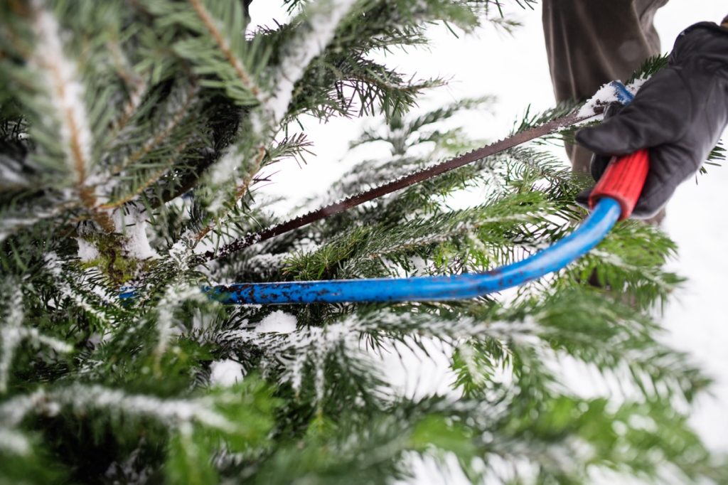 man cutting christmas tree outside in snow
