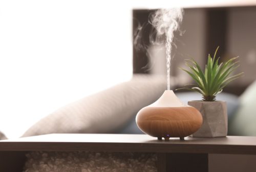 wood toned essential oil diffuser next to succulent on nightstand