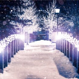 Estes Park, Colorado Romantic Christmas Towns