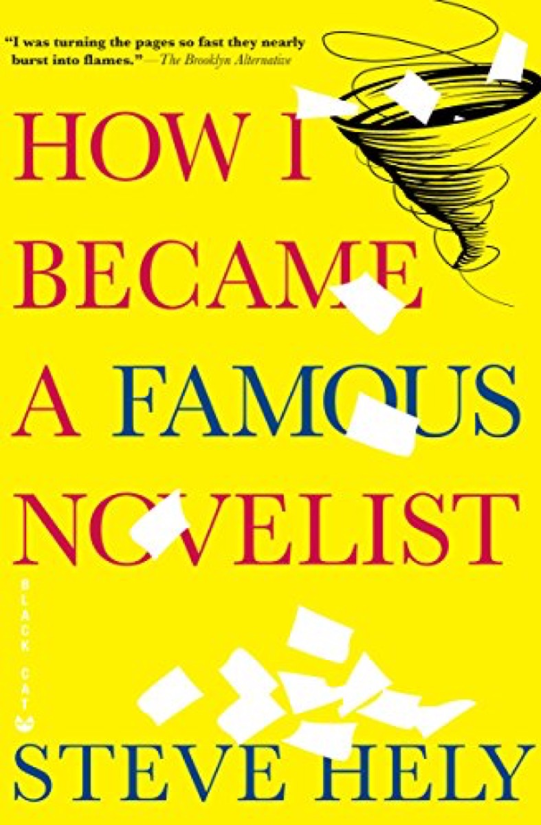 how i became a famous novelist 40 funny books