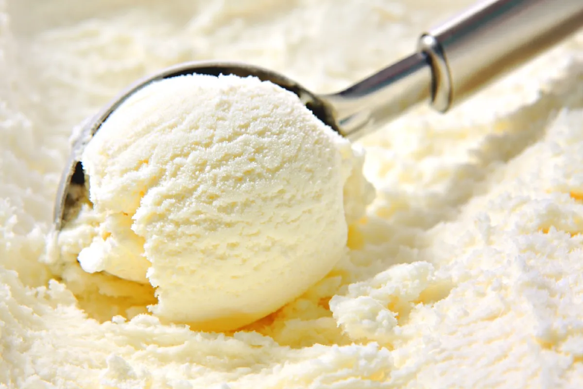 Vanilla Ice Cream {Best Impulse Buys From Costco}