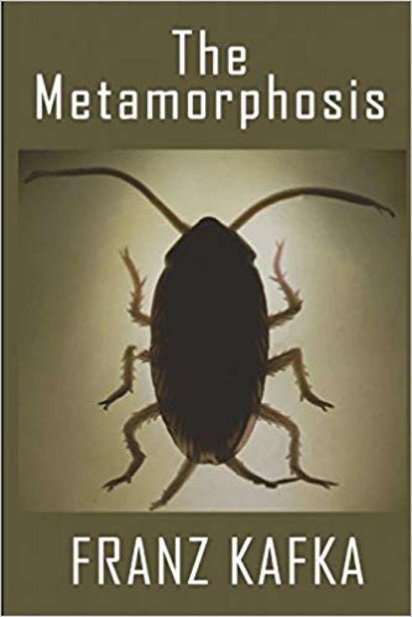 the metamorphosis 40 books you'll love