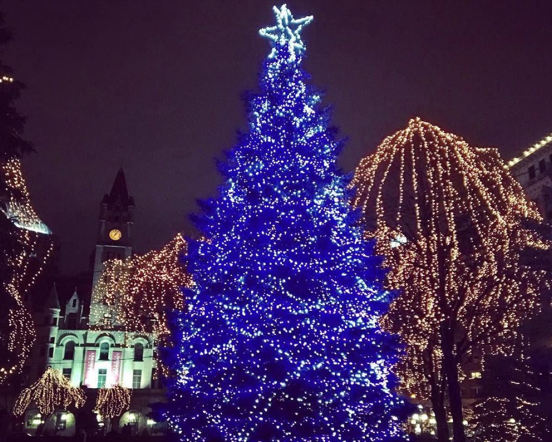 The Best Christmas Tree in Every State — Best Life