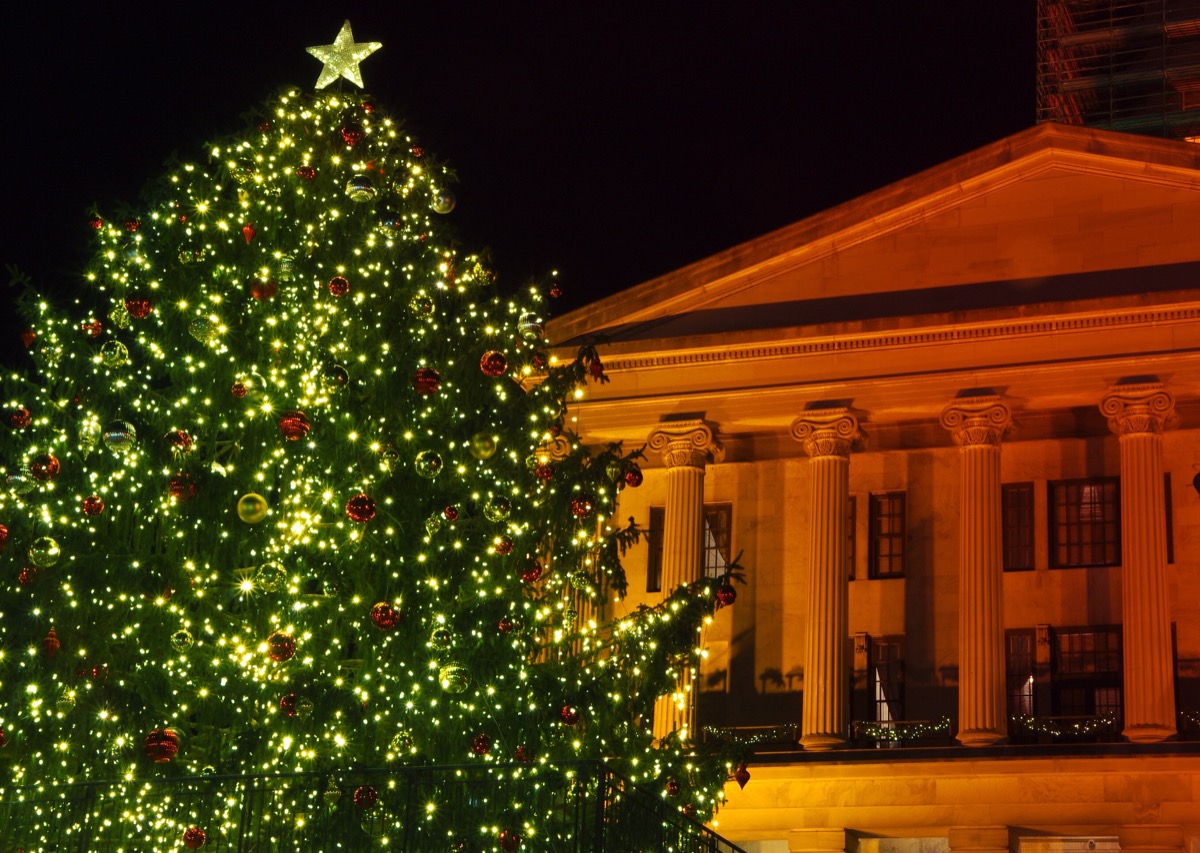 The Best Christmas Tree in Every State — Best Life