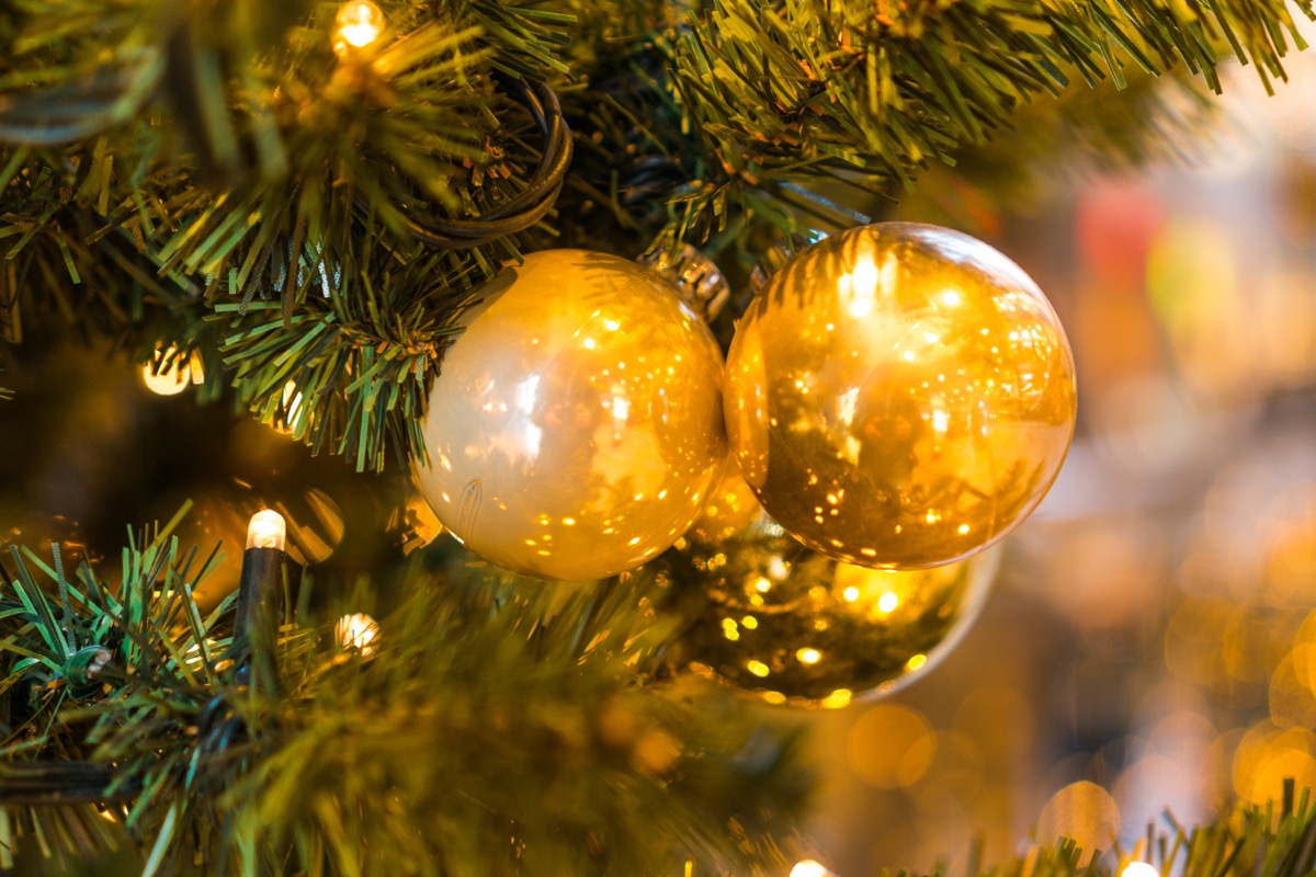 An ornament cluster of gold ornaments hanging on a Christmas tree
