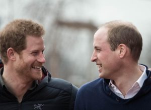 prince harry and prince william smile together, surprising prince william facts