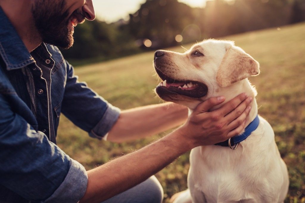 Man with outlet dog collar