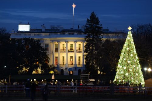 White House State Christmas Tree