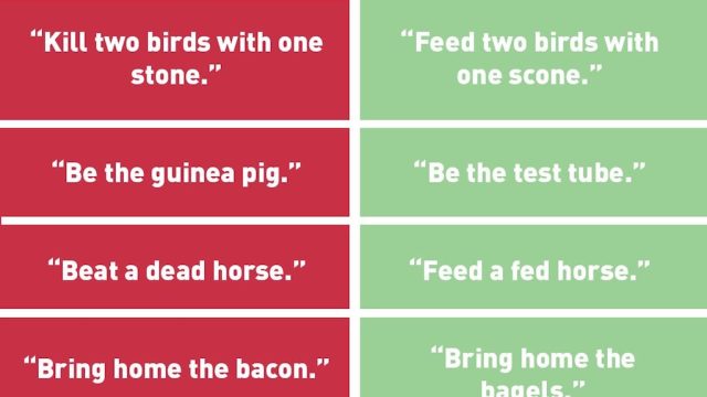 PETA releases list of animal-friendly idioms