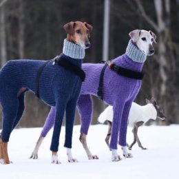 hortaya borzaya dogs