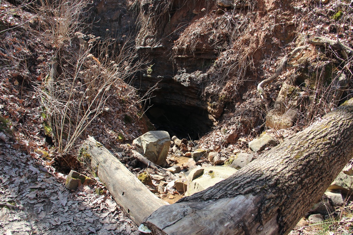 Ellison's Cave Entrance