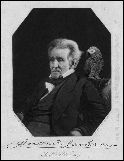 Andrew Jackson and his Parrot historical facts