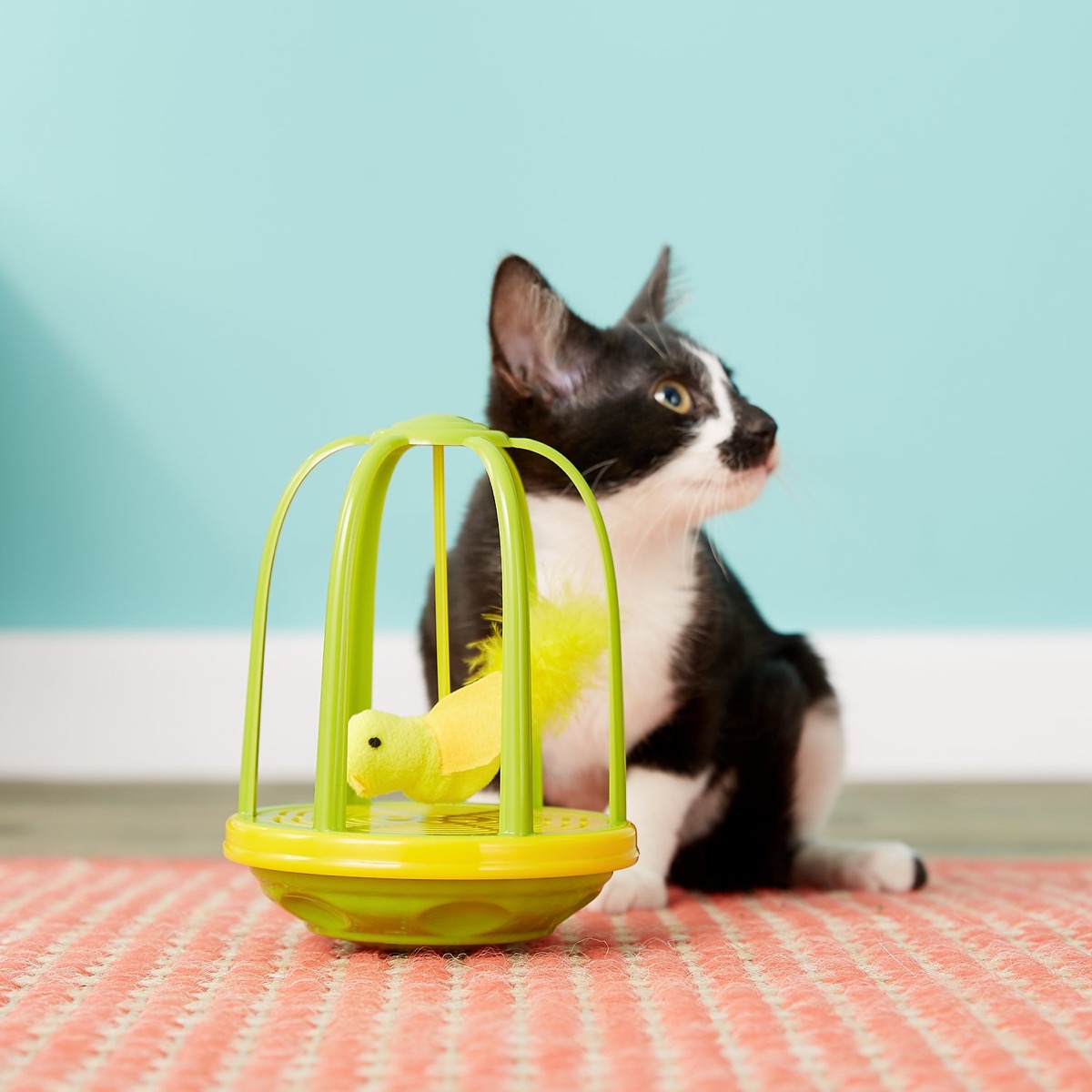 cat and canary toy - cat puns