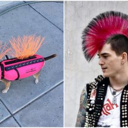 coyote vests are punk rock