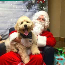 dogs meeting santa