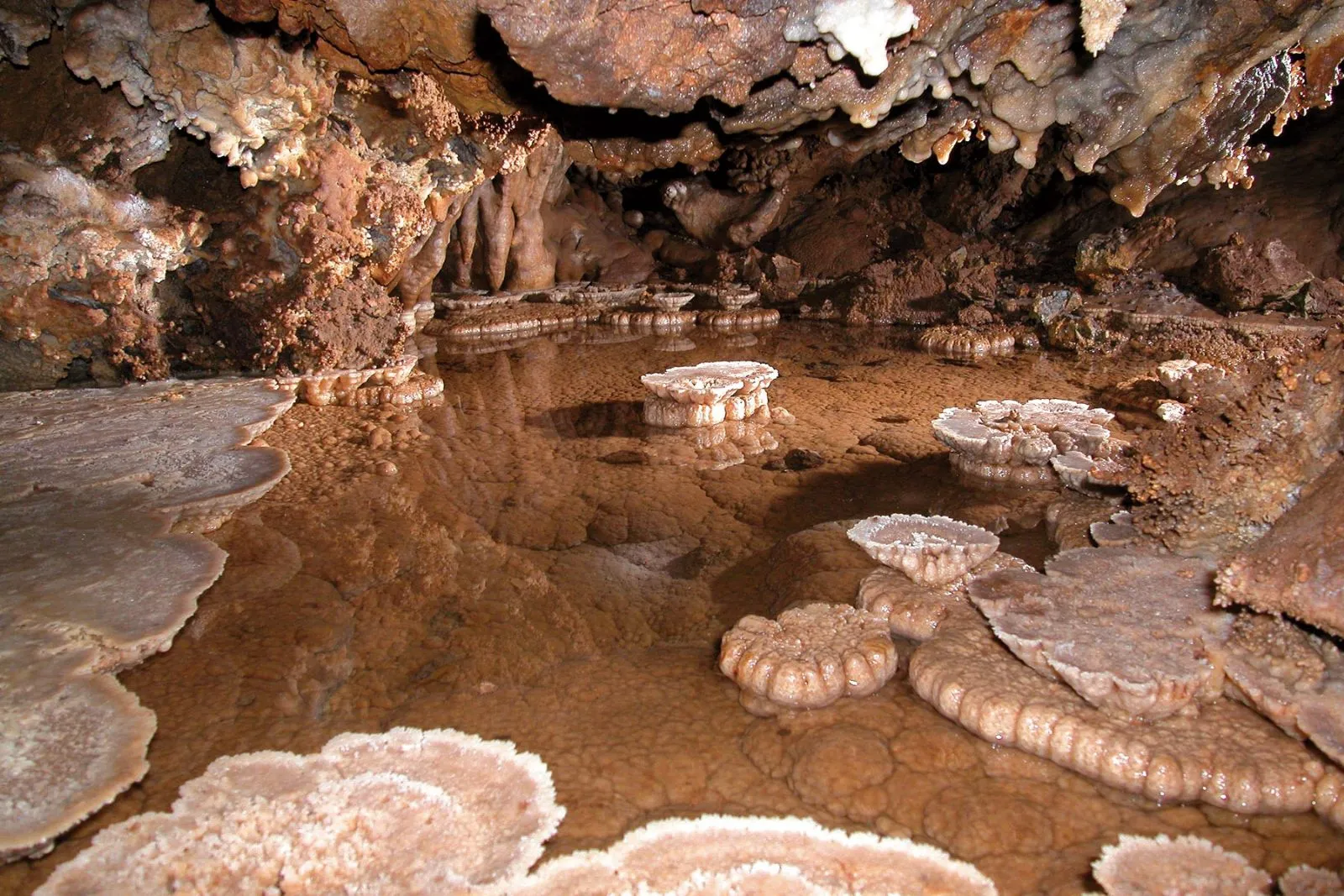 moaning caverns