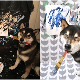shiba inu paintings