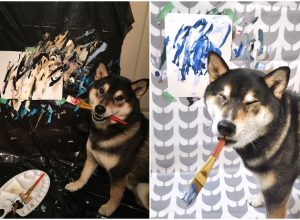 shiba inu paintings
