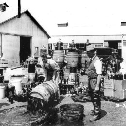 Prohibition during the 1920s historical facts