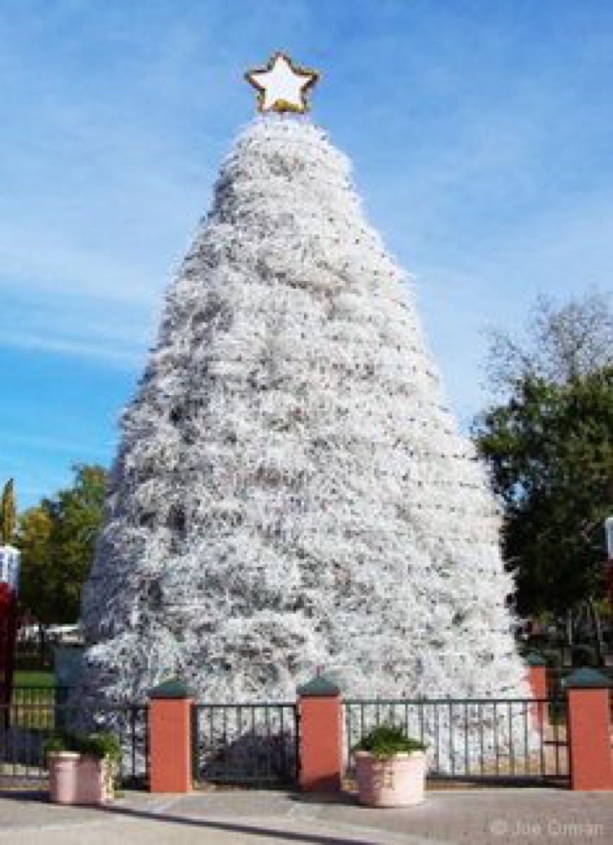 Arizona tumbleweed Christmas tree